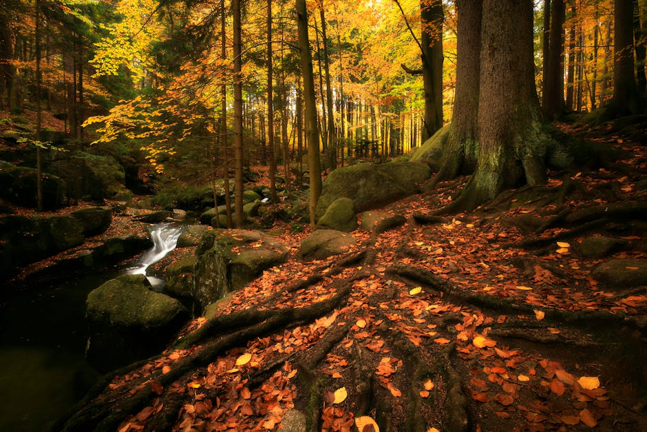 Discovering Hidden Gems: Off-the-Beaten-Path Travel Adventures