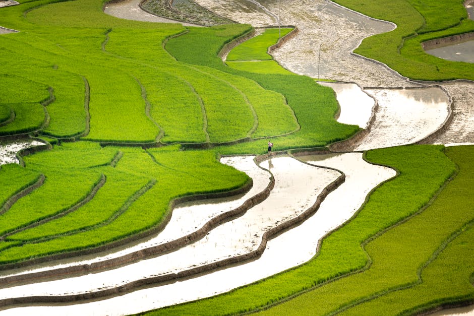 The Psychology of Travel: Why We Travel and How It Shapes Us
