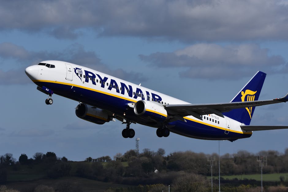 The Rise of Budget Airlines: Pros, Cons, and Travel Tips